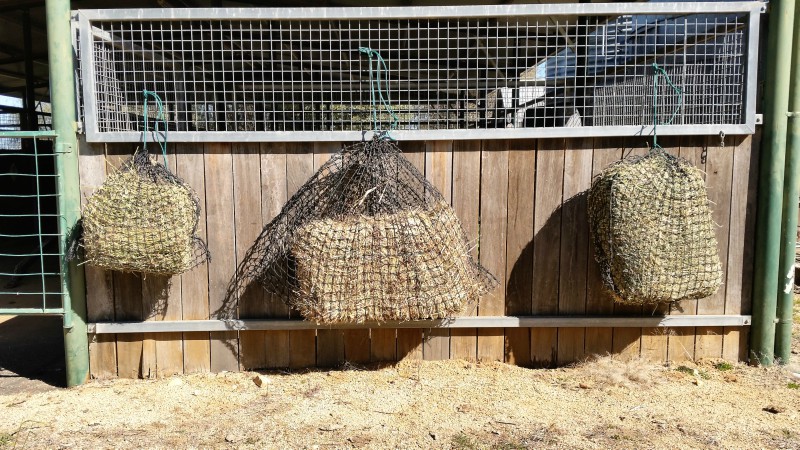 Small-Large-and-Medium-GutzBusta-Hay-Nets