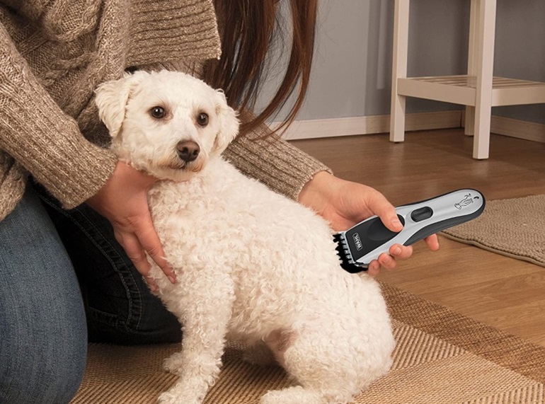 A person grooming a white dog with a well-designed cordless hair clippers