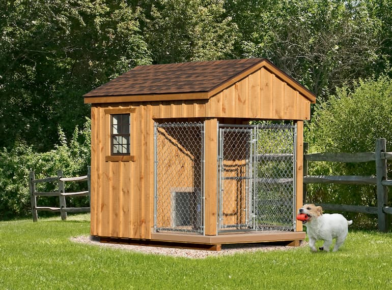 dog in front of his kennel