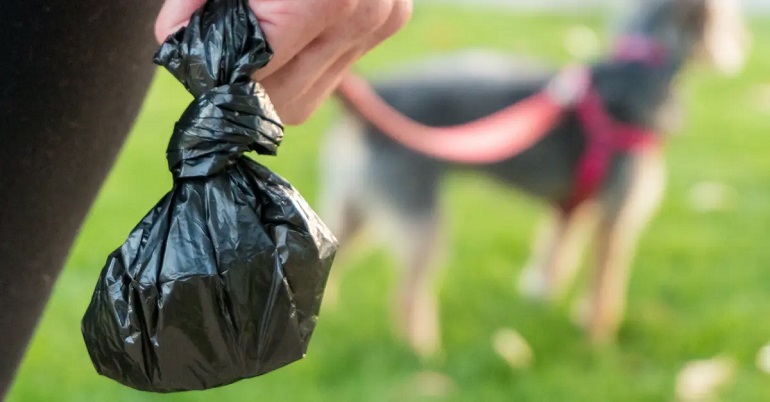poop bags for dogs 