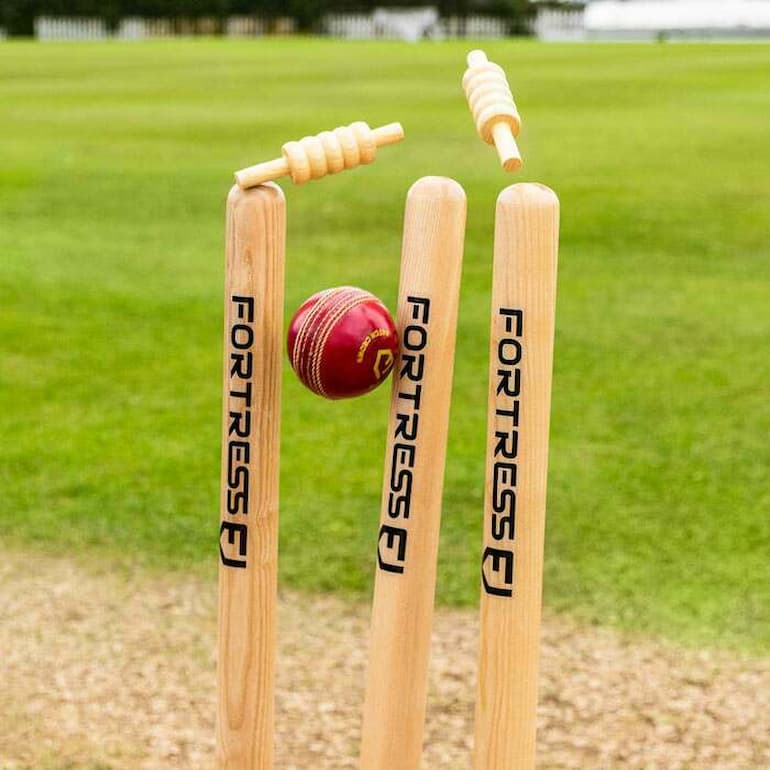 cricket-sport-stump