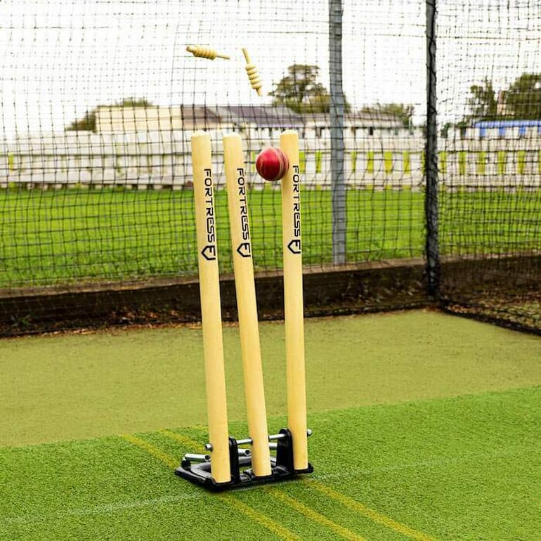 training-cricket-stump