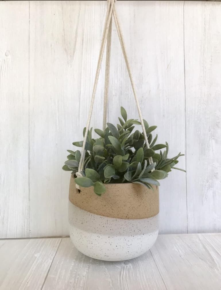 indoor hanging pot with plant