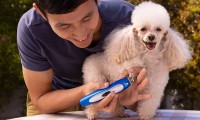 Cordless Hair Clippers: A Must-Have Pet Grooming Tool for Optimal Results
