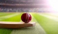 Cricket Stumps: A Comprehensive Guide to the Silent Arbiters of the Game